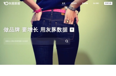 灰豚数据