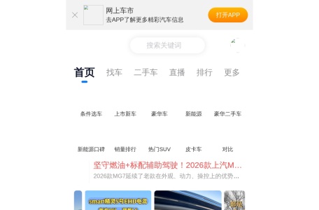 网上车市