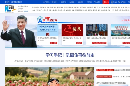 新华网军事